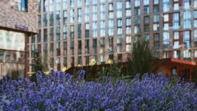 Battersea Business Centre Lavender